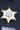Energy Police Department Badge