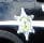 Manhattan Police Department Badge